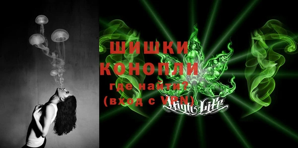 ГАЛЛЮЦИНОГЕННЫЕ ГРИБЫ Алексеевка