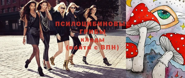 хмурый Алзамай