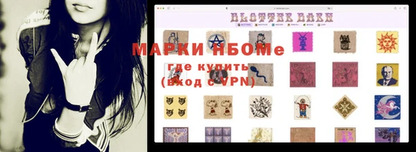 стафф Арсеньев
