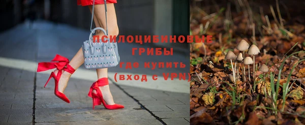 ГАЛЛЮЦИНОГЕННЫЕ ГРИБЫ Алексеевка