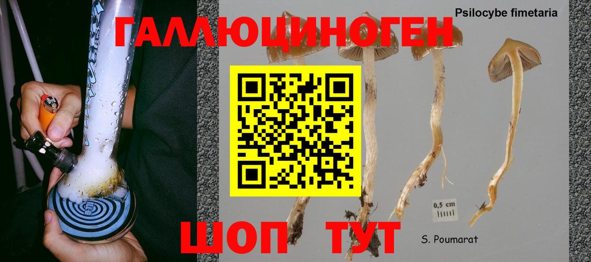 Галлюциногенные грибы мухоморы Борзя