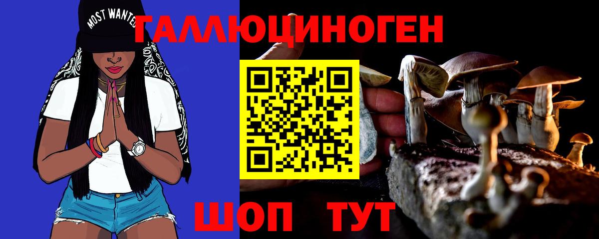 Борзя  Галлюциногенные грибы Cubensis  Вход с VPN 
